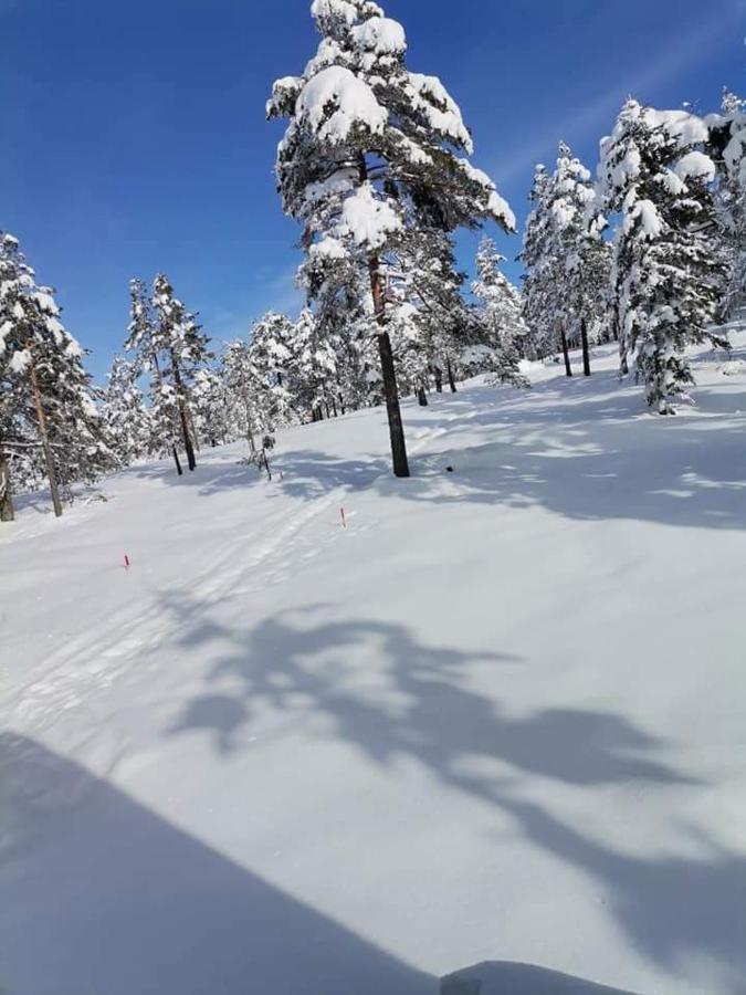 Apartmani Milosavljevic ดิฟชิบาเร ภายนอก รูปภาพ